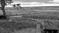 146 - LES VIGNES DE MARSANNAY - COURTES ALAIN - france <div